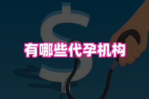 国际助孕网 1