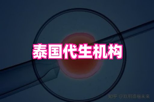 国际助孕网 4